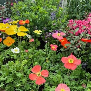 Meet your Posher, Mel